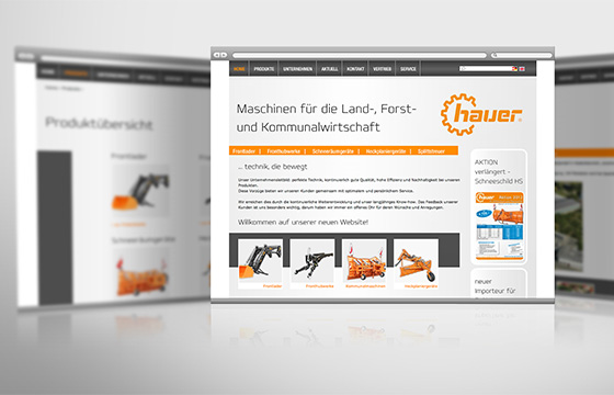 Webdesign Hauer